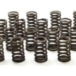 GM, 1.250 Valve Springs - SBC for 602 Crate Engine